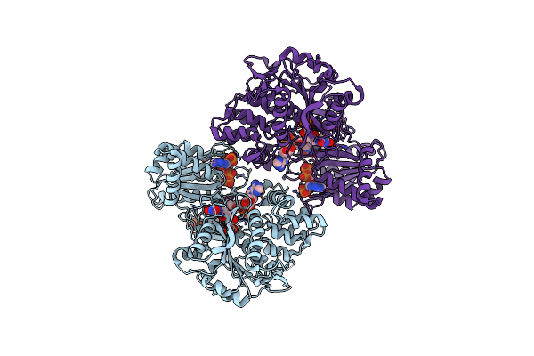 4Y9R image