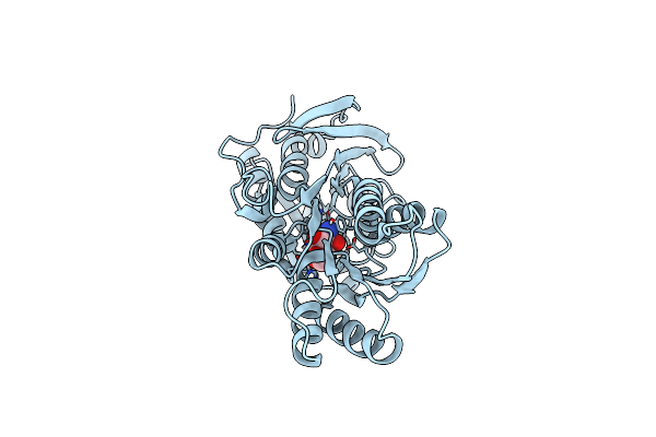 4Y9T image