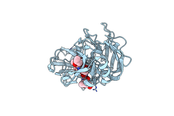 4Y9W image
