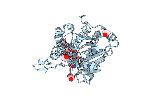 4Y9X image