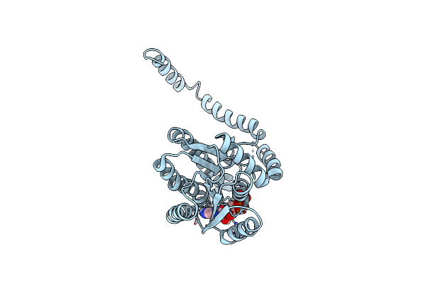 4YAC image