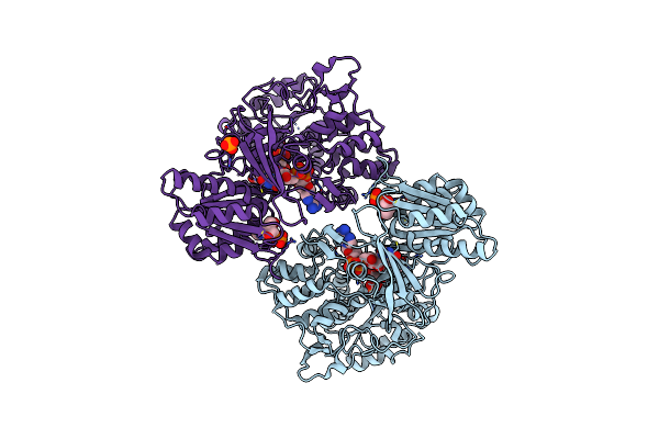 4YAF image