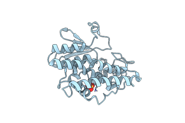 4YAP image