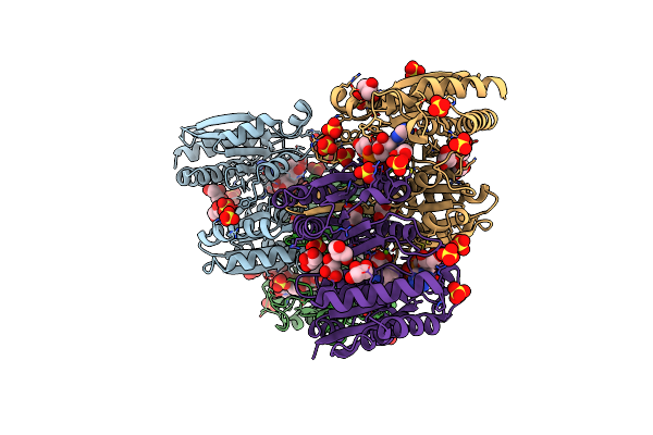 4YB4 image