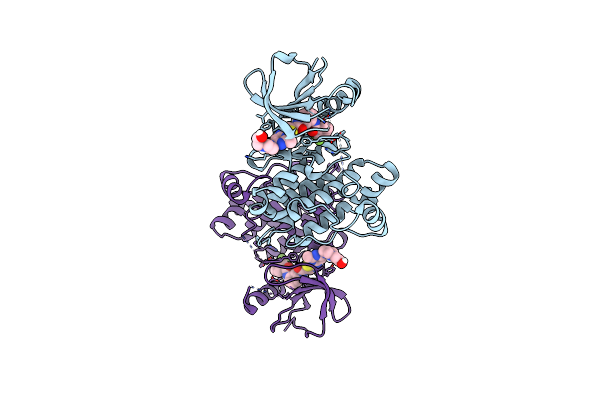 4YBJ image