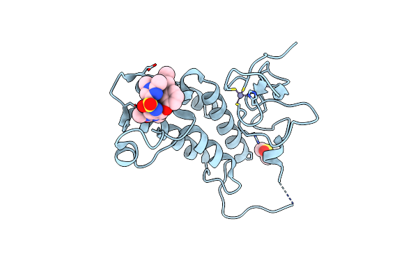 4YBS image