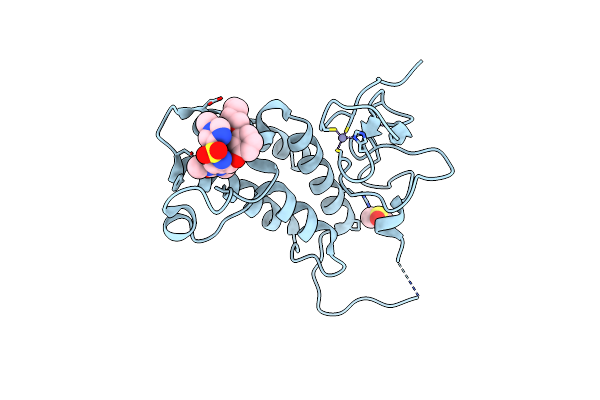 4YBT image