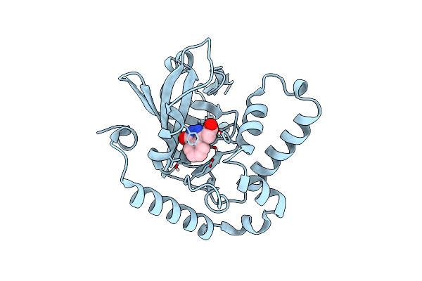 4YC0 image