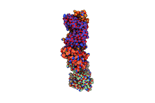 4YC2 image