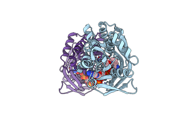 4YCA image