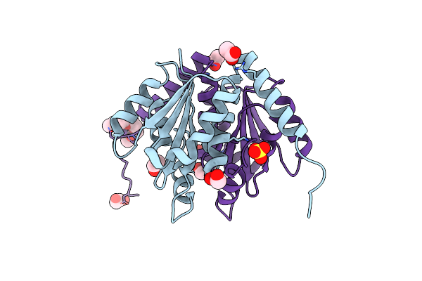 4YCB image