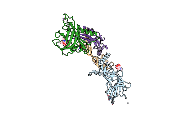4YCI image