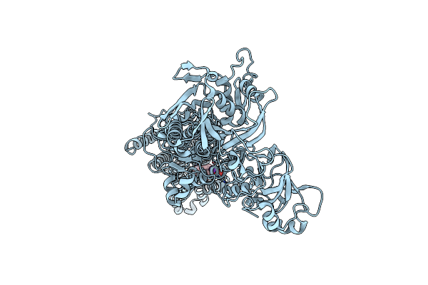 4YCL image