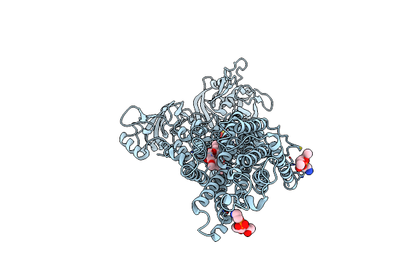 4YCN image