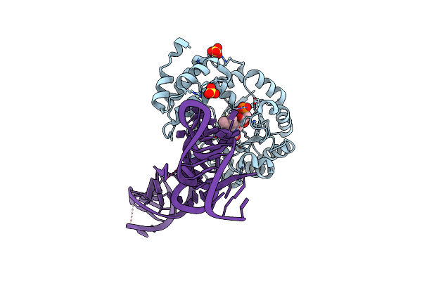 4YCP image