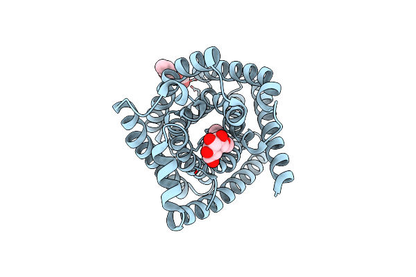 4YCR image
