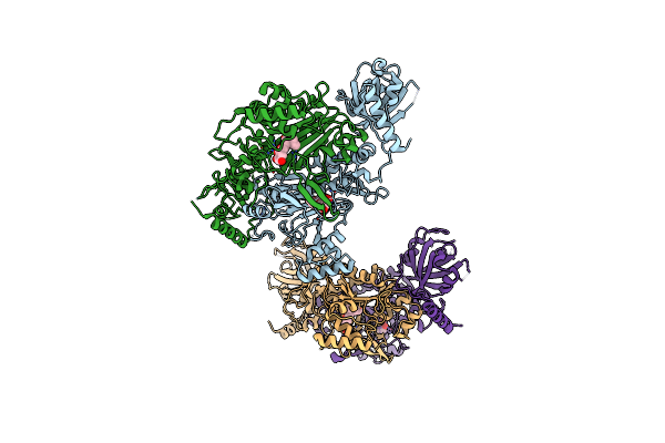 4YCV image