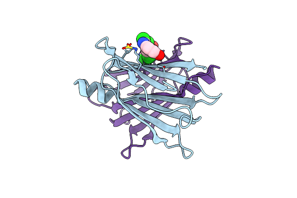 4YDM image