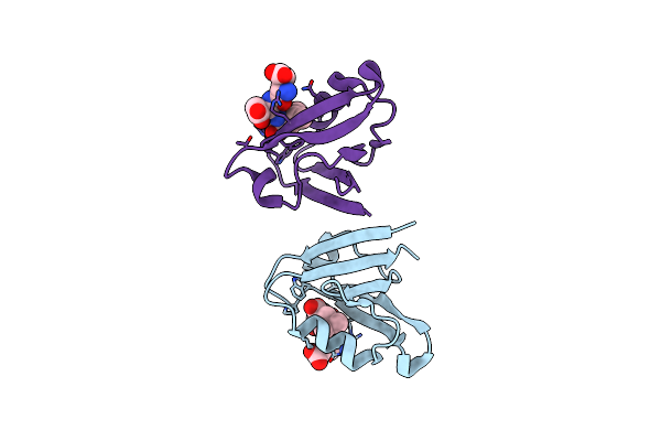 4YDP image
