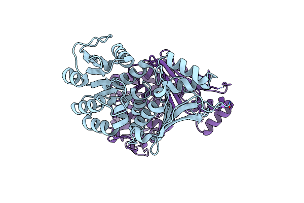 4YDR image