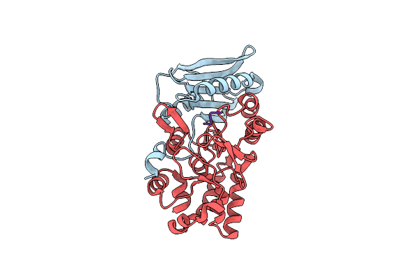 4YEC image