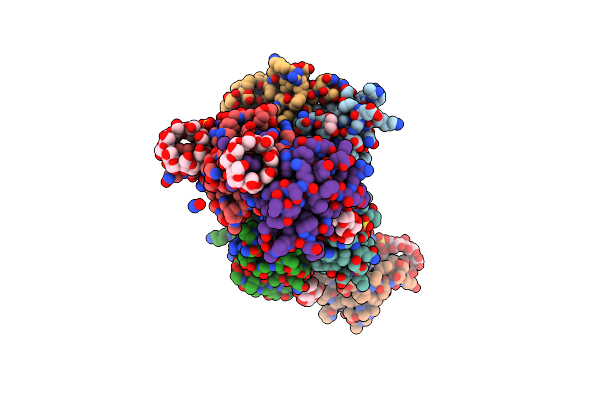 4YEF image