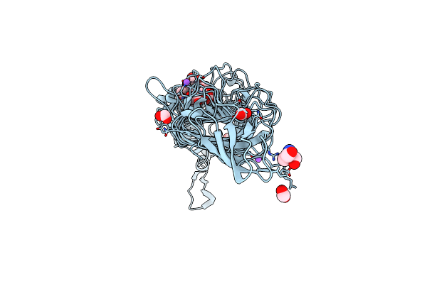 4YEL image