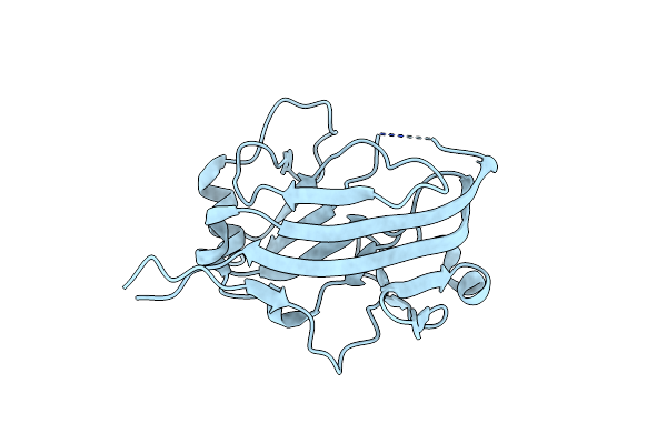 4YEQ image