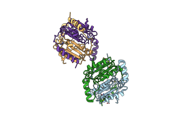 4YF4 image