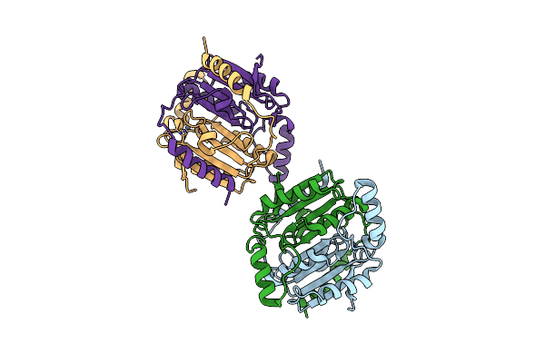 4YF5 image