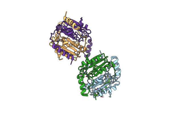 4YF6 image