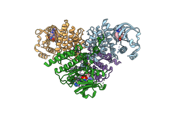4YFI image