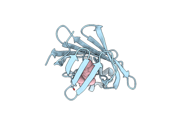 4YFP image