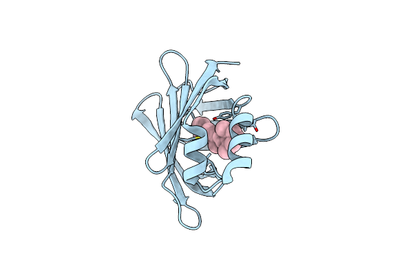 4YGZ image