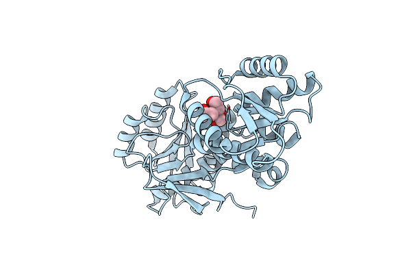 4YHS image