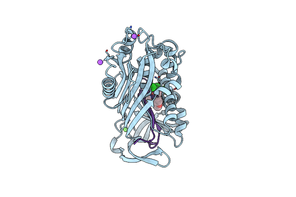 4YIA image