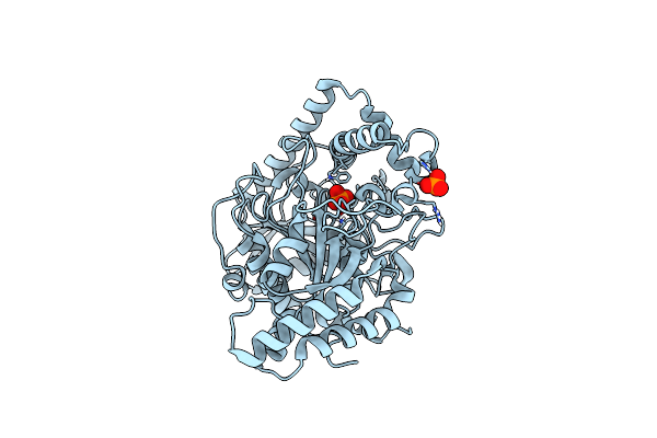 4YJ6 image
