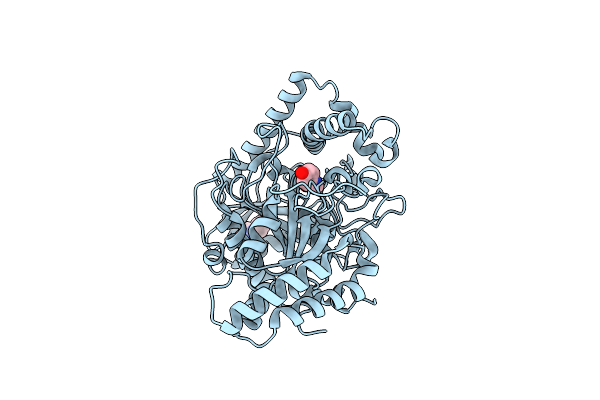 4YJI image