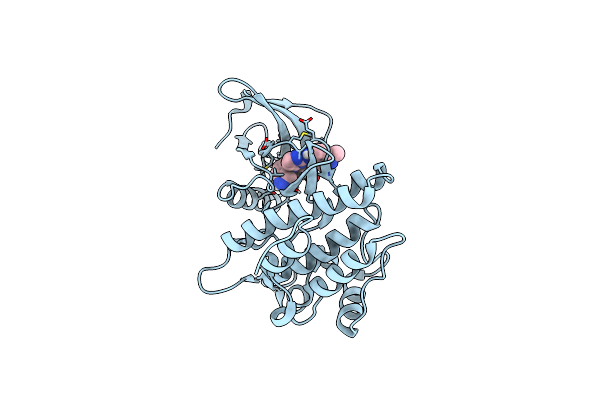 4YJR image