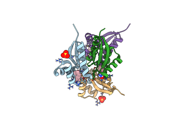 4YJX image
