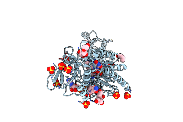 4YKF image