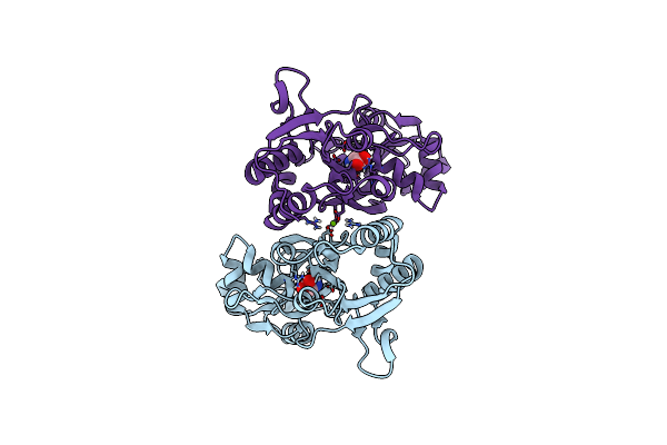4YKK image