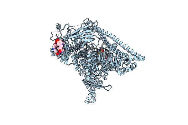 4YKN image