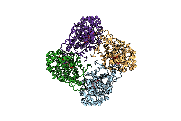 4YL2 image