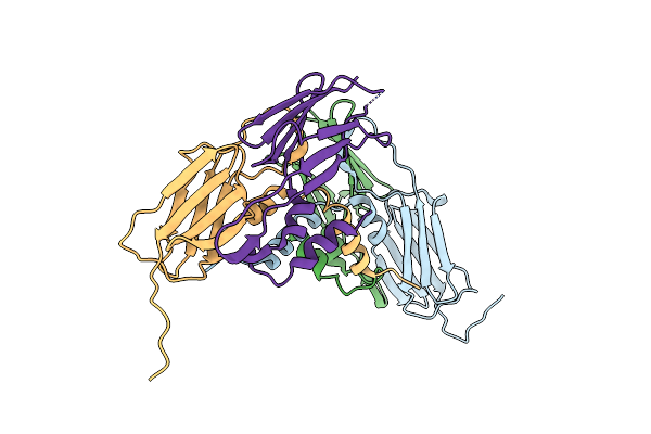 4YLB image