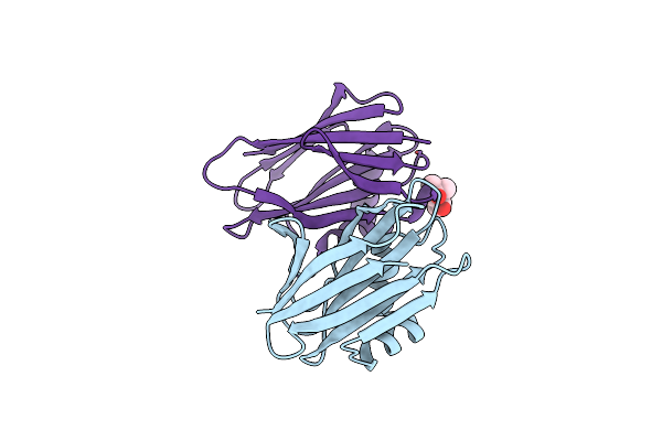 4YLD image