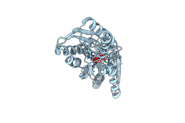 4YLE image