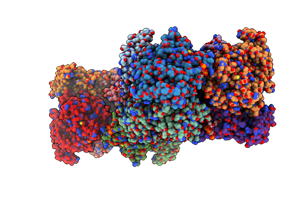 4YLH image