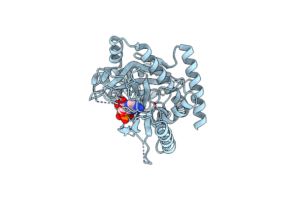 4YLR image