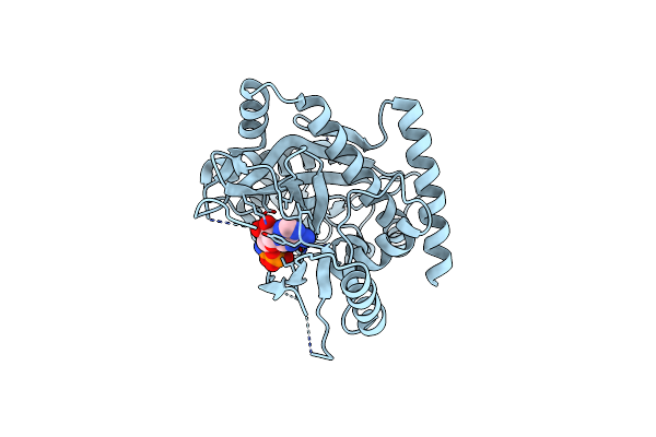 4YLS image